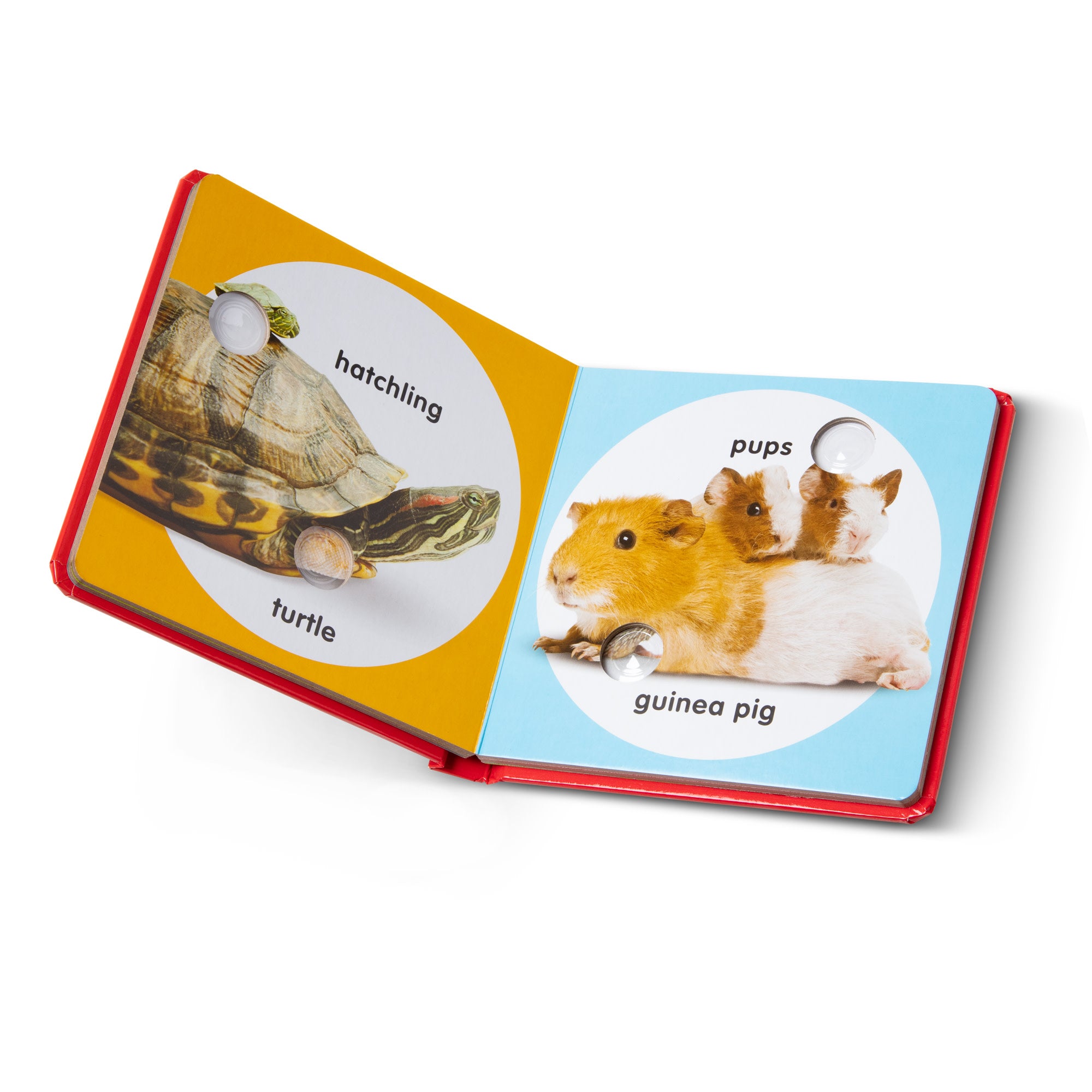 Poke-a-Dot: Pet Families Board Book - Image 4