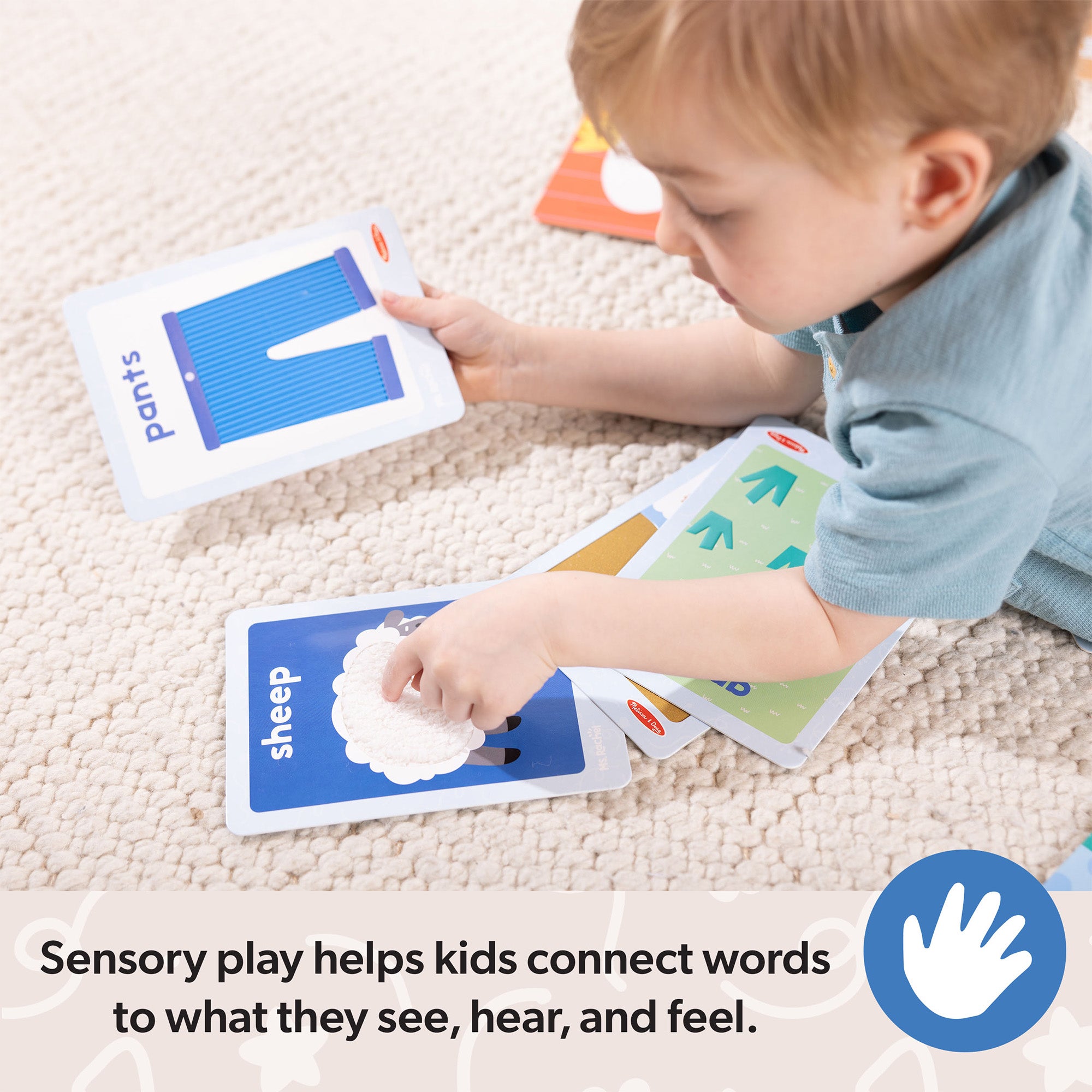 Ms. Rachel? First Words Sensory Cards - Image 6