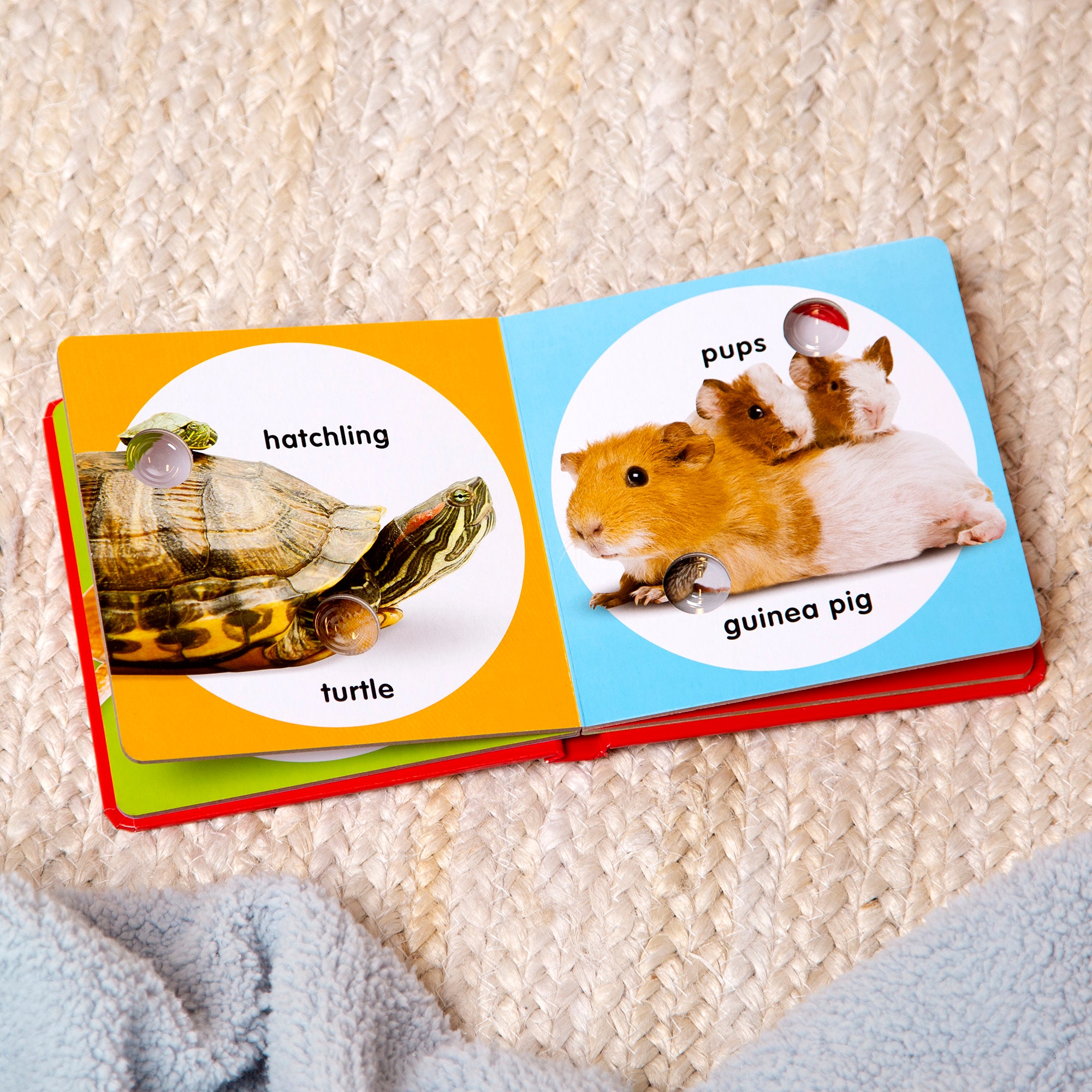 Poke-a-Dot: Pet Families Board Book - Image 10