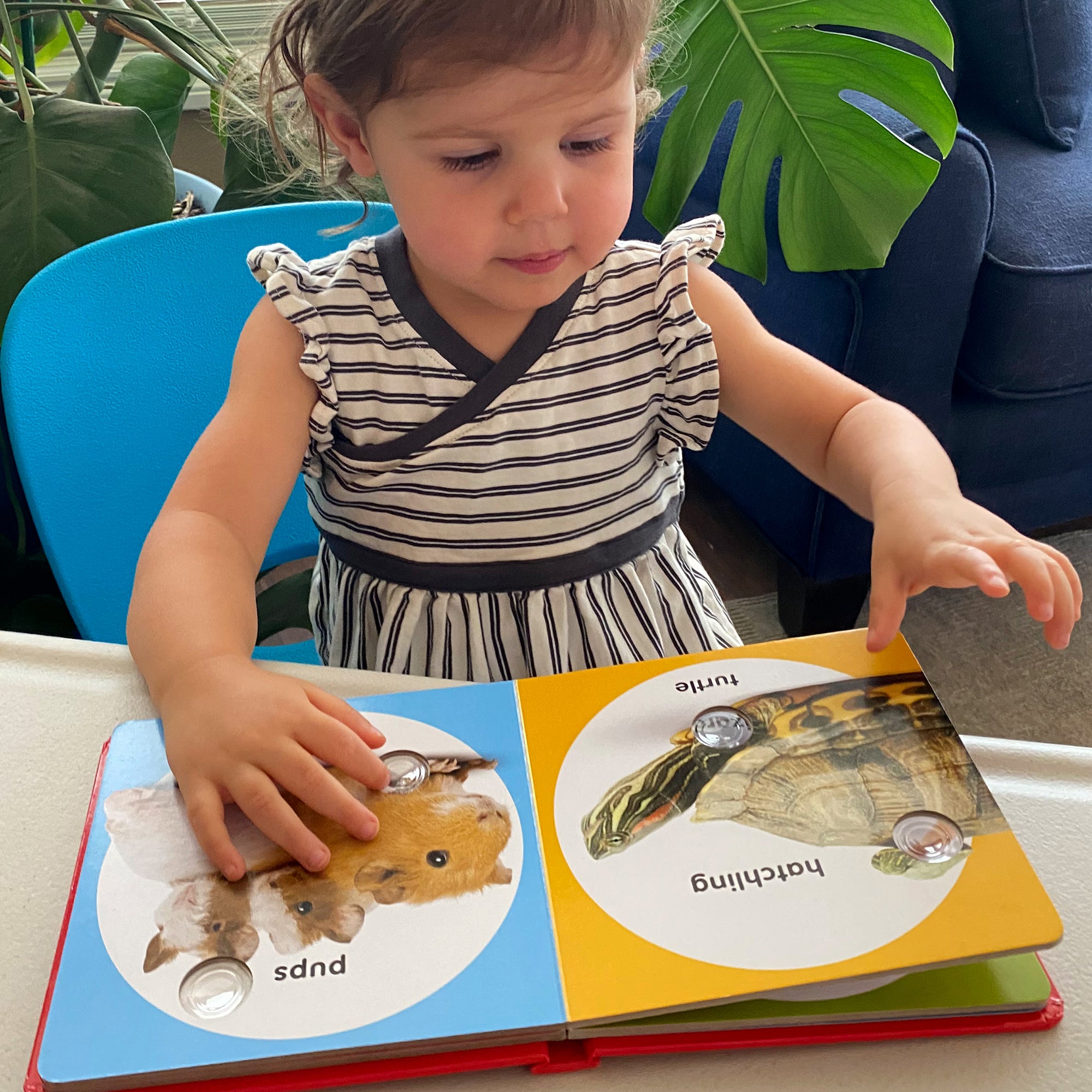 Poke-a-Dot: Pet Families Board Book - Image 5