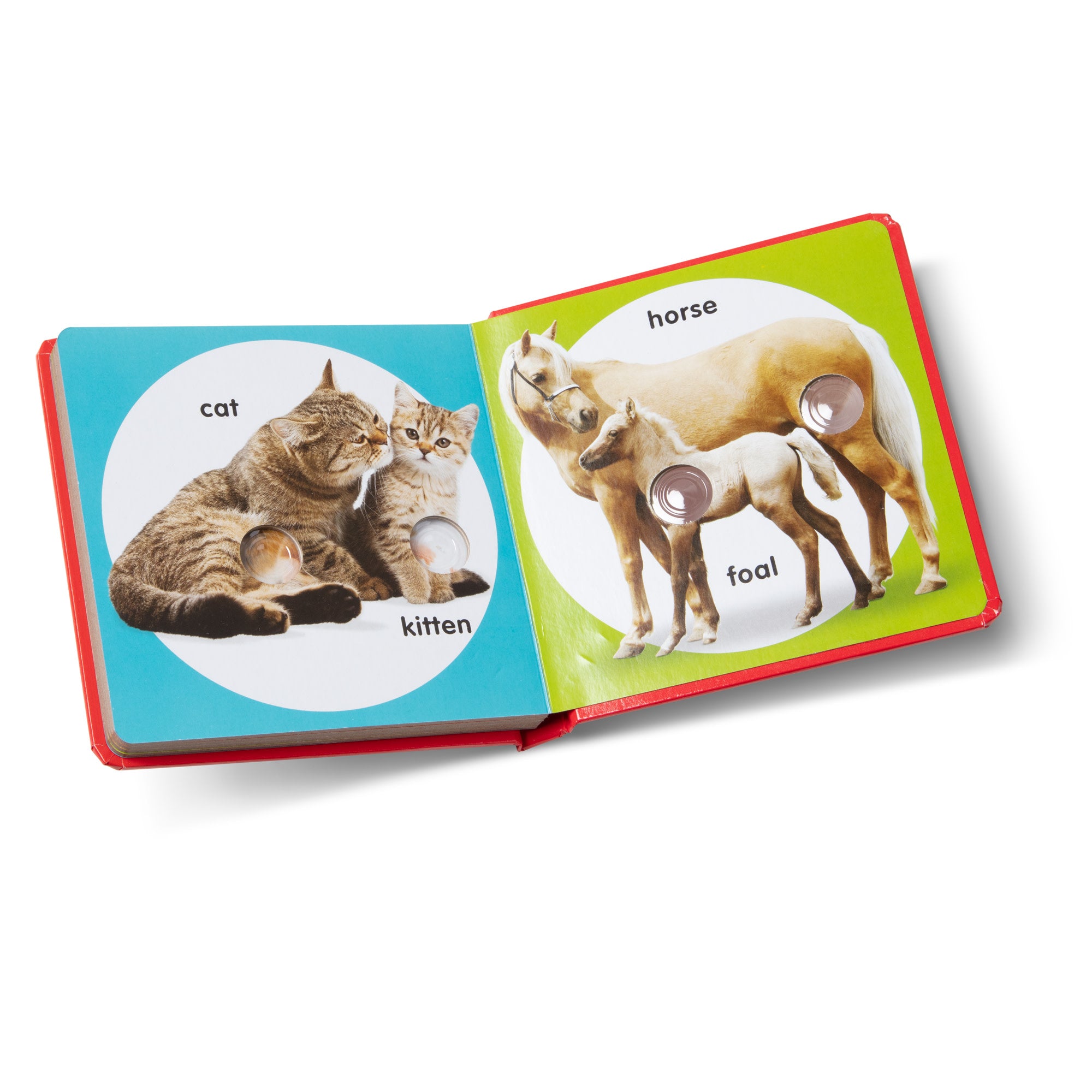 Poke-a-Dot: Pet Families Board Book - Image 3