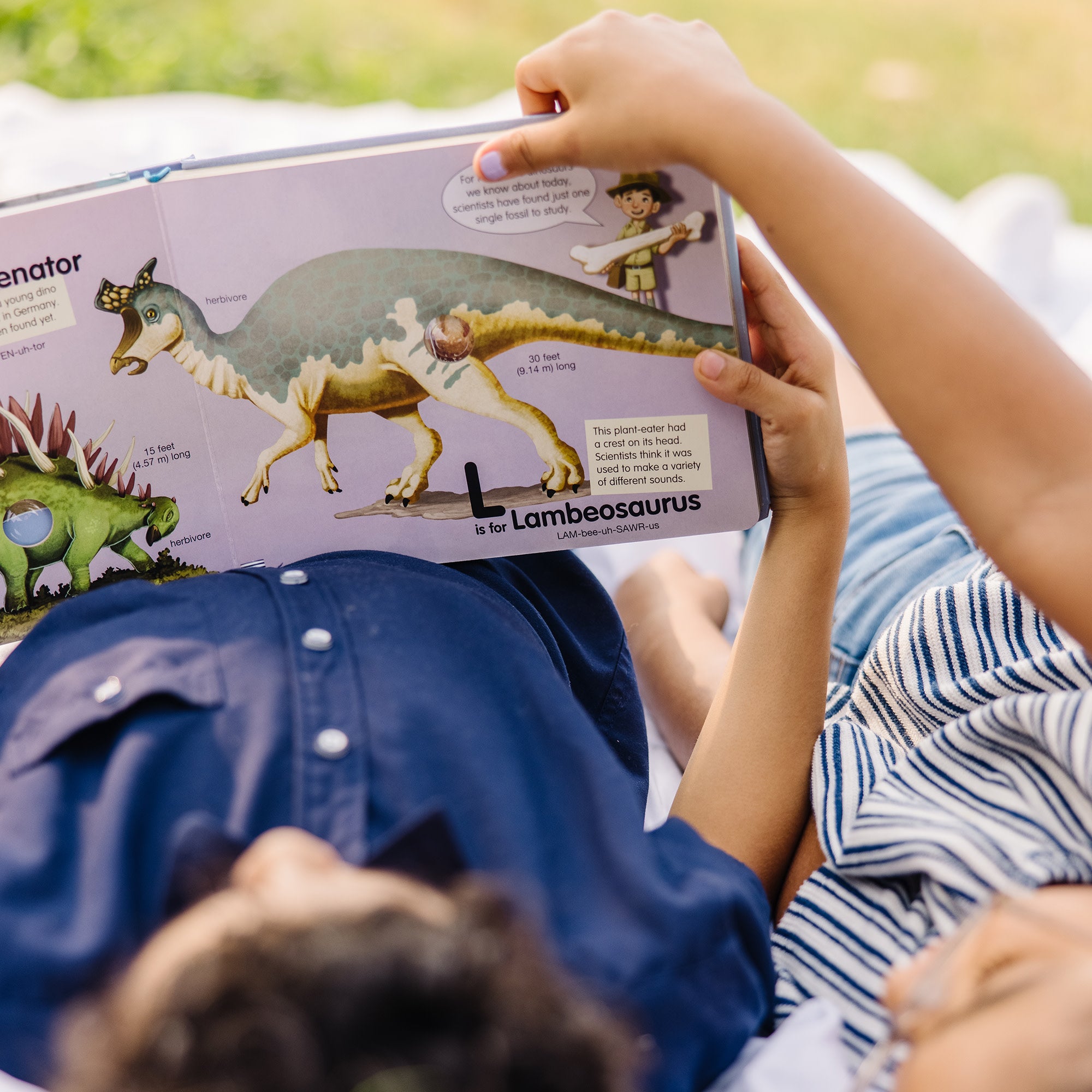 Poke-a-Dot: Dinosaurs A to Z Board Book - Image 2