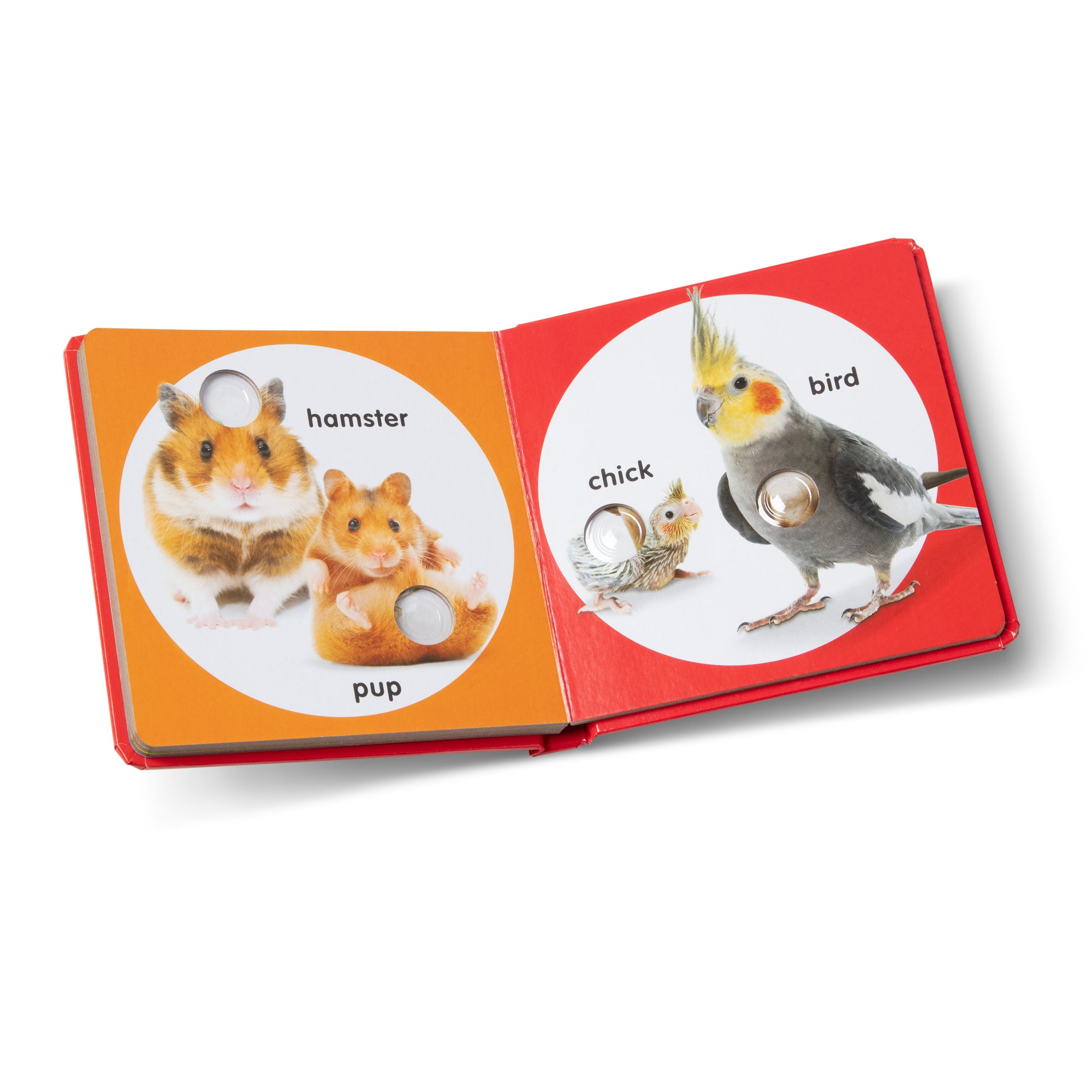 Poke-a-Dot: Pet Families Board Book - Image 9