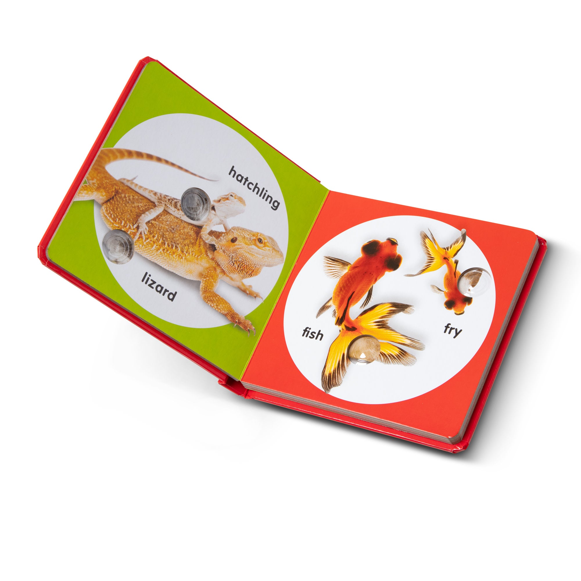Poke-a-Dot: Pet Families Board Book - Image 6