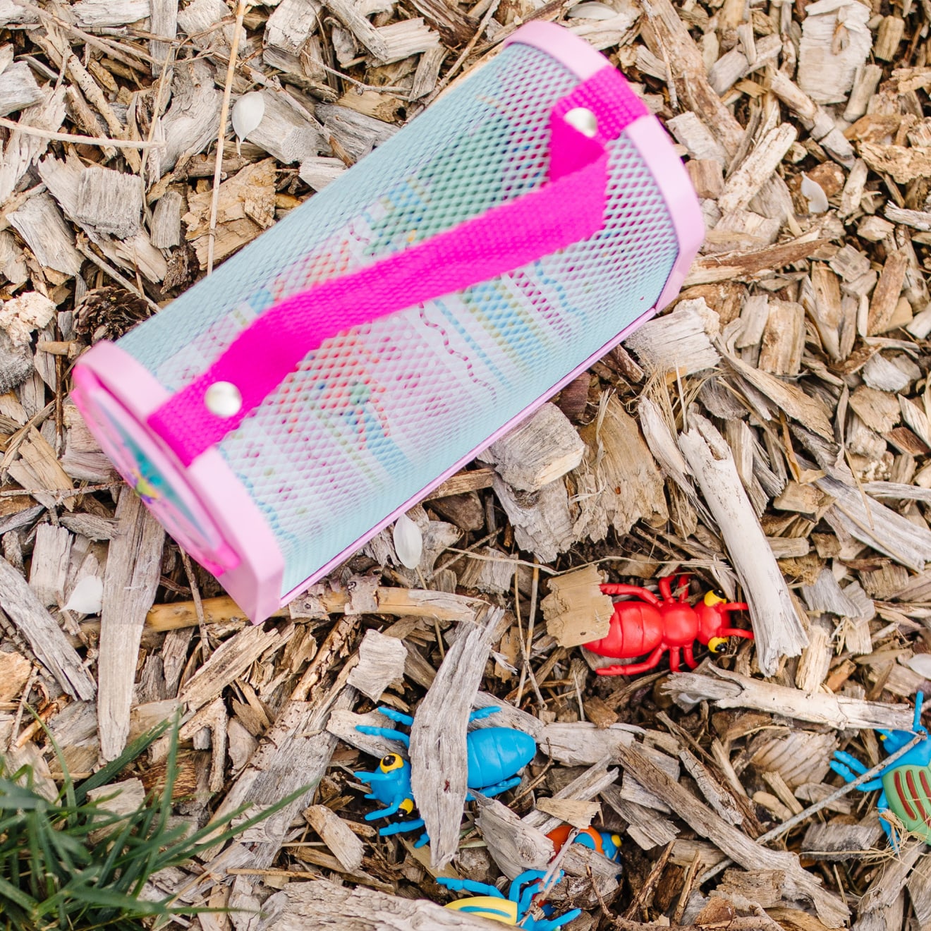 Bag of Bugs - Image 9