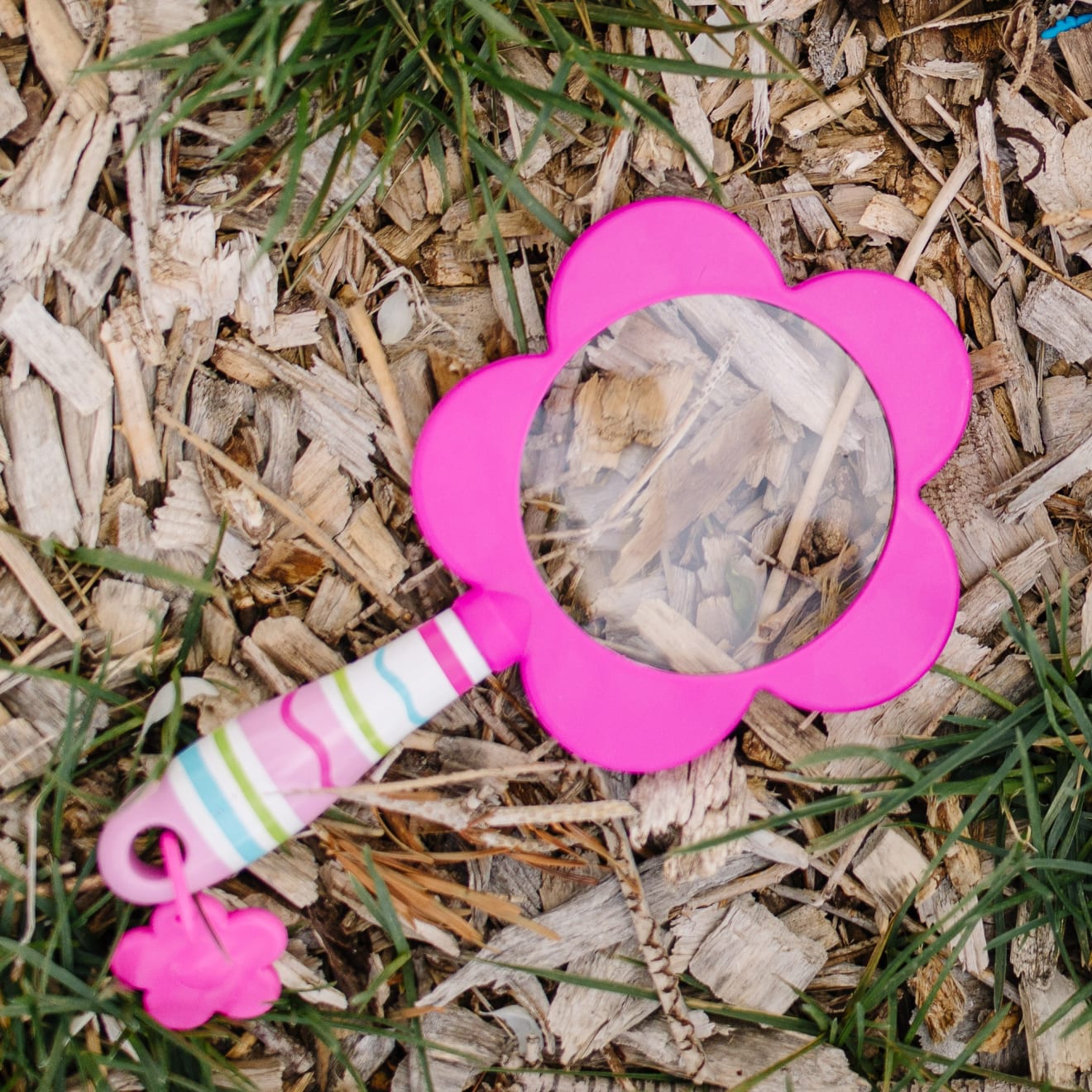 Pretty Petals Magnifier - Image 9