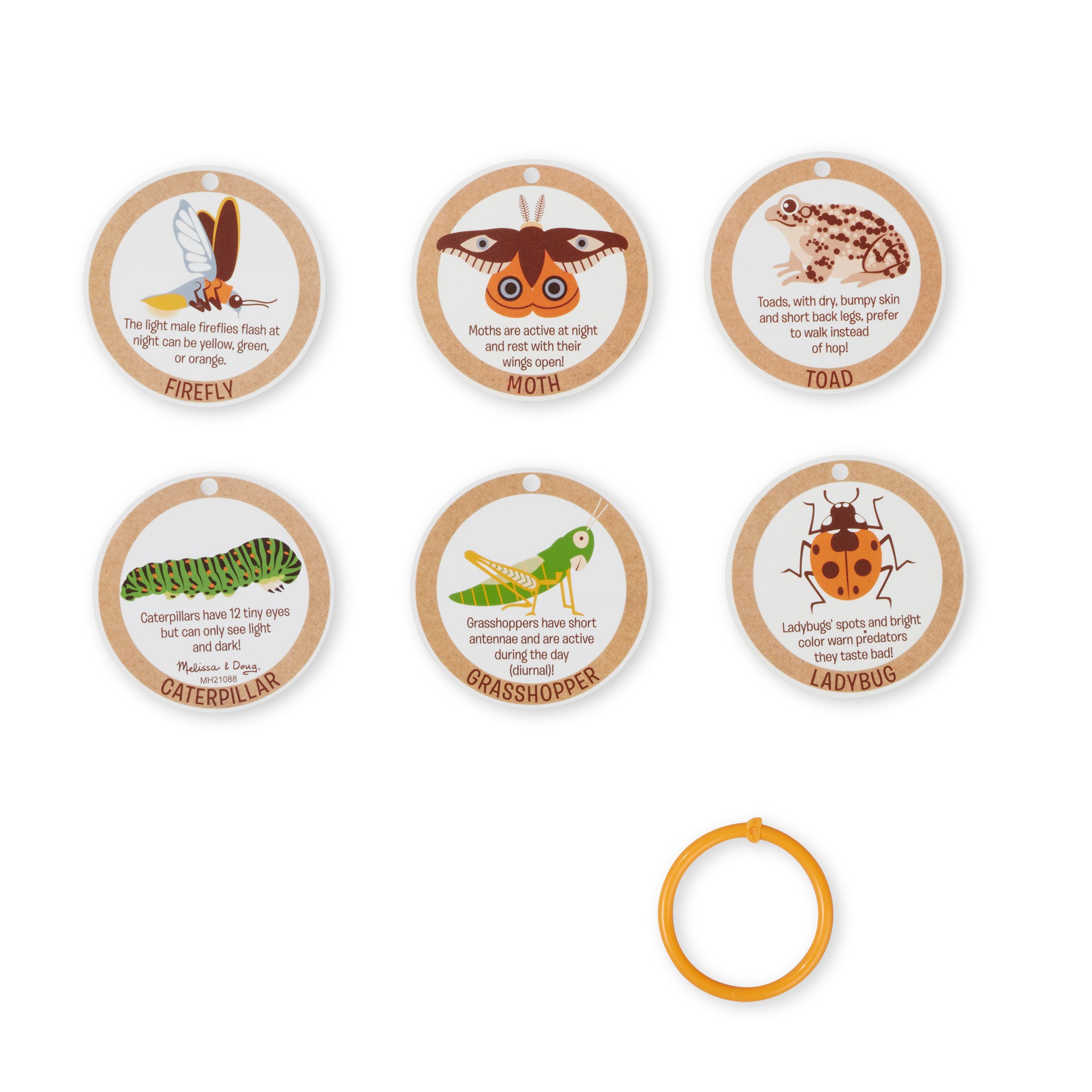 Let's Explore Terrarium Observations Play Set - Image 7