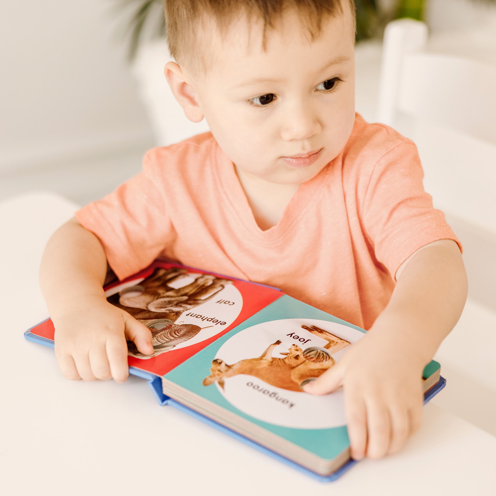 Poke-a-Dot: Wild Animal Families Board Book - Image 2